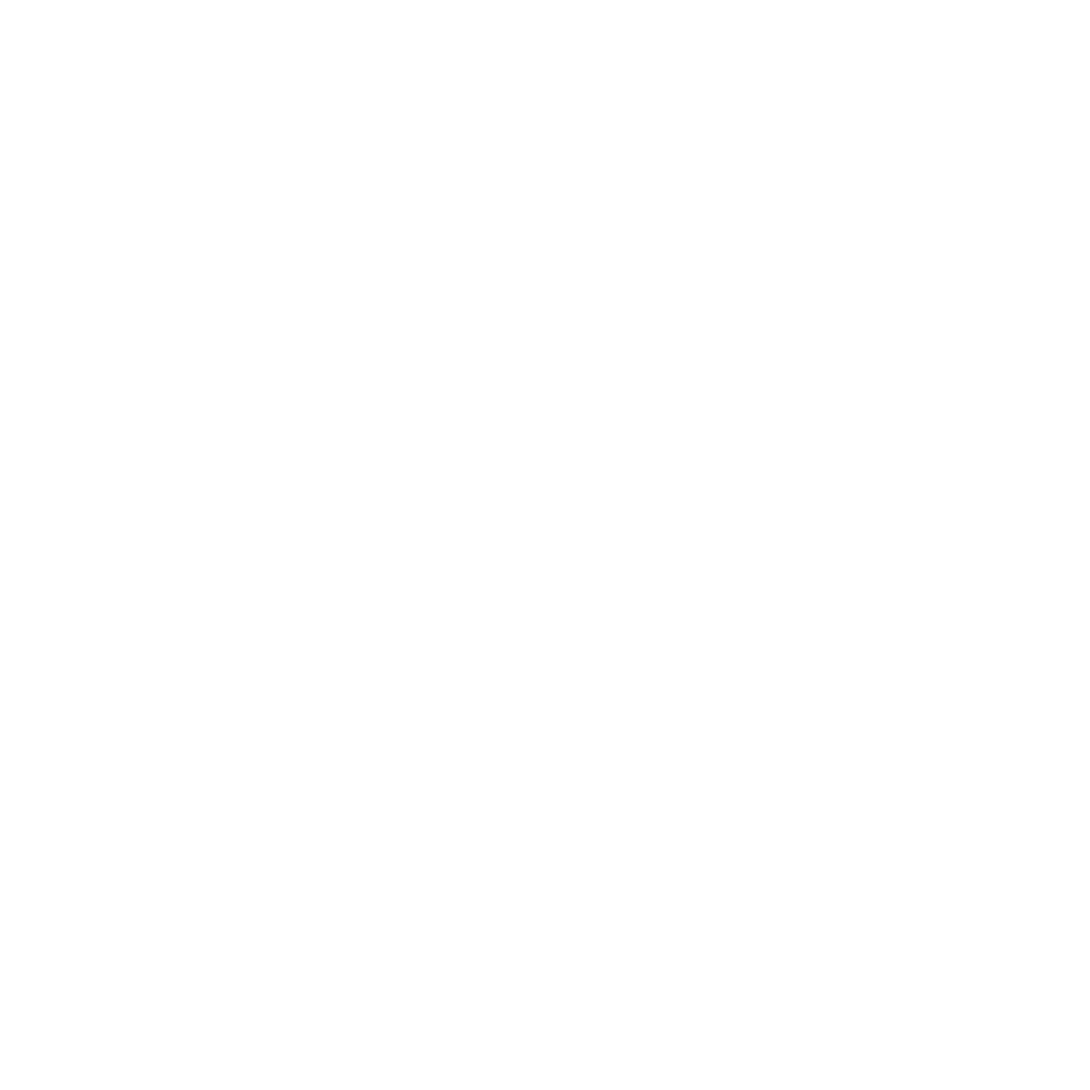 Guidline Icon